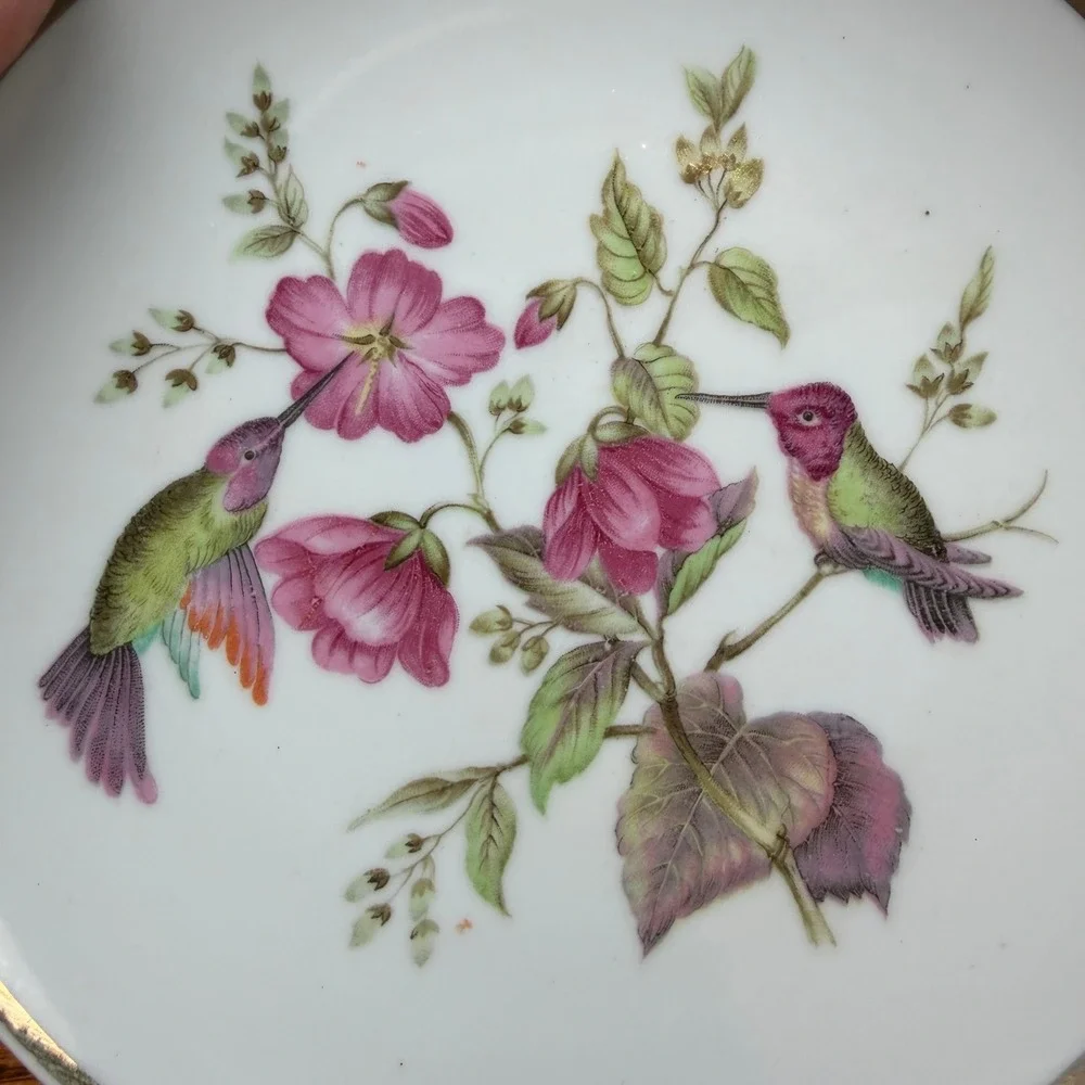 Vintage Royal Halsey Plate Hummingbird Floral Porcelain White 7.75in Collector
